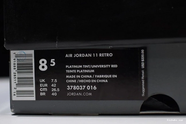 Platinum Tint 378037-016 Jordan Retro 11 Air 0615